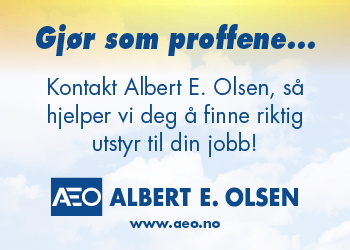 Albert E Olsen 